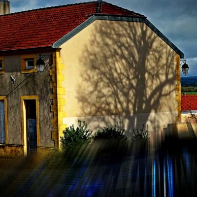 A l'ombre du vieux tilleul