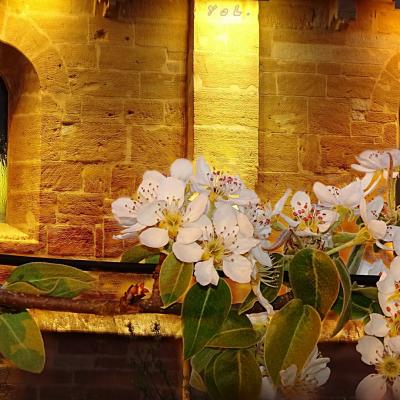 le sacre du printemps